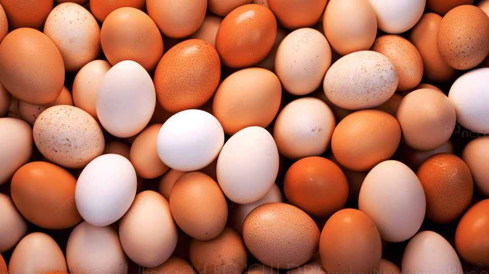 Fresh eggs bundle - 5 trays